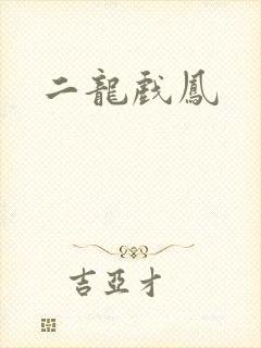 二龙戏凤