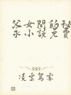 父女间的秘密赵永小说免费阅读封面