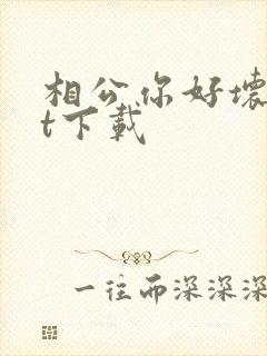 相公你好坏txt下载