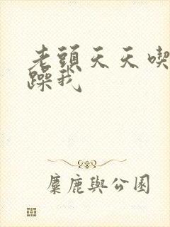 老头天天吃我奶躁我