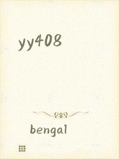 yy408封面