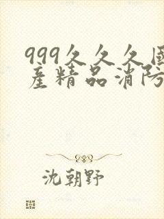 999久久久国产精品消防器材封面