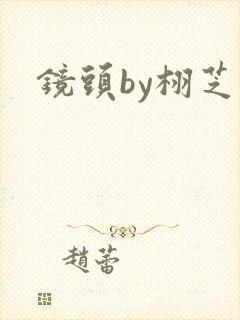 镜头by栩芝