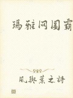 玛雅网图霸天下