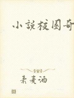 小说校园奇侠封面