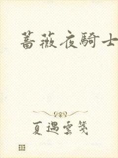 蔷薇夜骑士