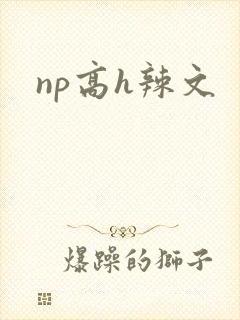 np高h辣文封面