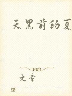 天黑前的夏天