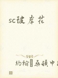 sc彼岸花