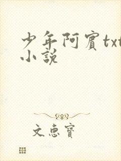 少年阿宾txt小说