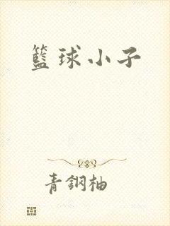 篮球小子封面