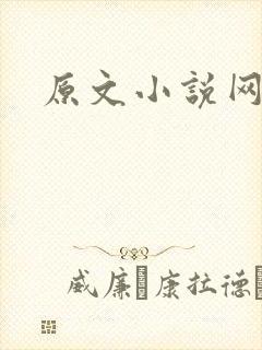 原文小说网封面
