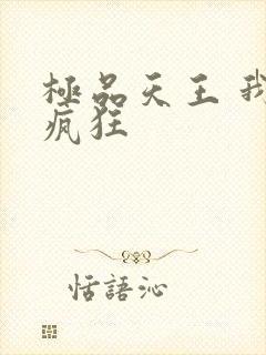 极品天王 我本疯狂封面