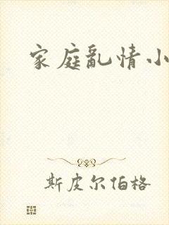 家庭乱情小说封面