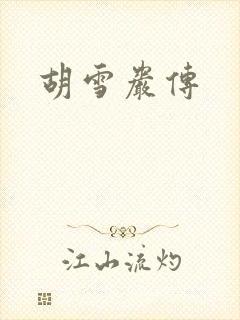 胡雪岩传封面