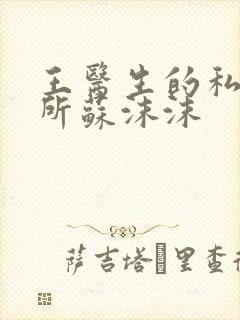 王医生的私人诊所苏沫沫封面