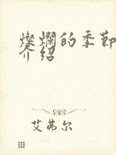 灿烂的季节剧情介绍