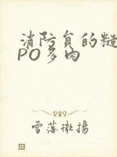 消防员的糙汉文PO多肉封面