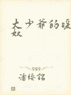 大少爷的暖床小奴