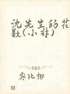 沈先生的花式调数(小非)