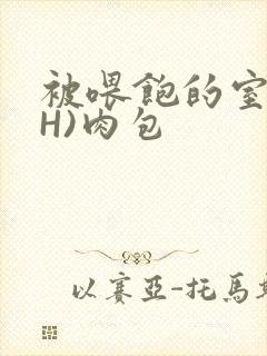 被喂饱的室友(H)肉包