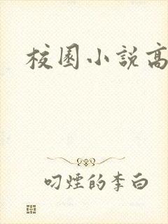 校园小说高h