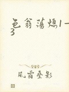 色翁荡熄1—13封面