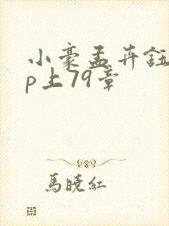 小豪孟卉钰慧三p上79章