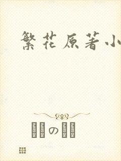 繁花原著小说