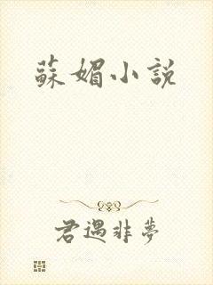 苏媚小说
