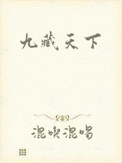 九藏天下