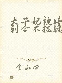 太子妃被暗卫C到合不拢腿