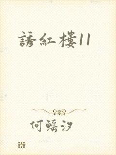 诱红楼11