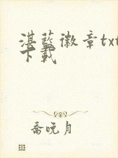 湛蓝徽章txt下载