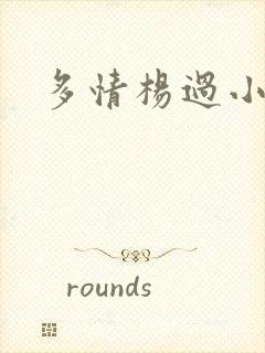 多情杨过小说封面