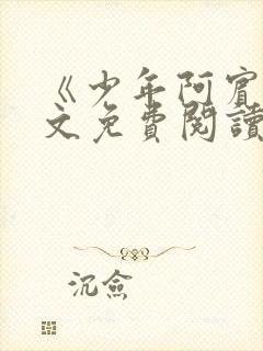 《少年阿宾》全文免费阅读