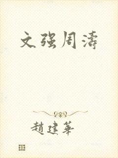 文强周涛封面