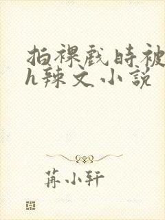 拍裸戏时被c了h辣文小说封面