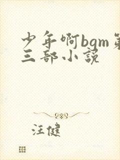 少年啊bgm第三部小说封面