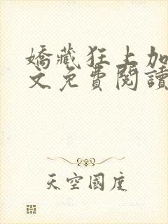 娇藏狂上加狂全文免费阅读笔趣阁封面