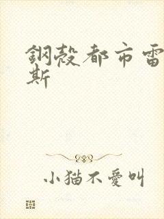 钢壳都市雷吉欧斯