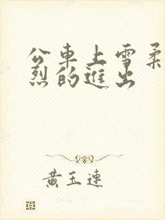 公车上雪柔被猛烈的进出