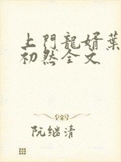 上门龙婿叶辰萧初然全文封面