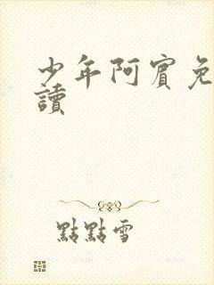 少年阿宾免费阅读