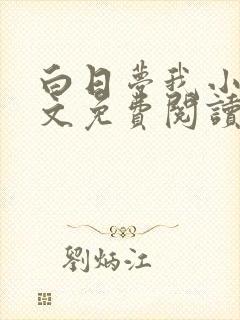 白日梦我小说全文免费阅读封面