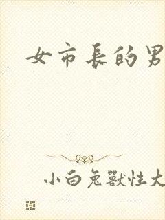 女市长的男秘书