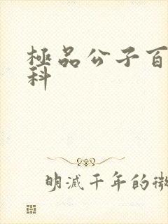 极品公子百度百科