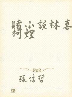 赌小说林喜朝和柯煜