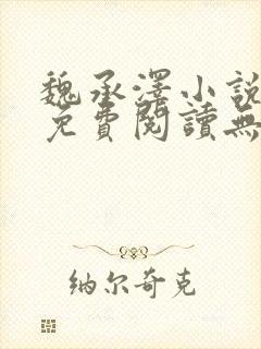 魏承泽小说全文免费阅读无弹窗笔趣封面