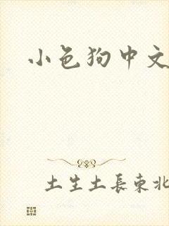 小色狗中文网